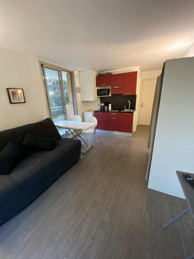 Studio Avec Terrasse, Vue Sur Jardin Apartment Nisa Exterior foto